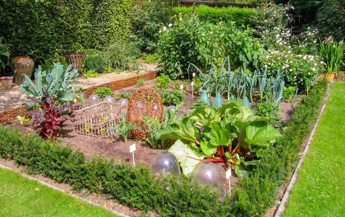 vegetable garden begin